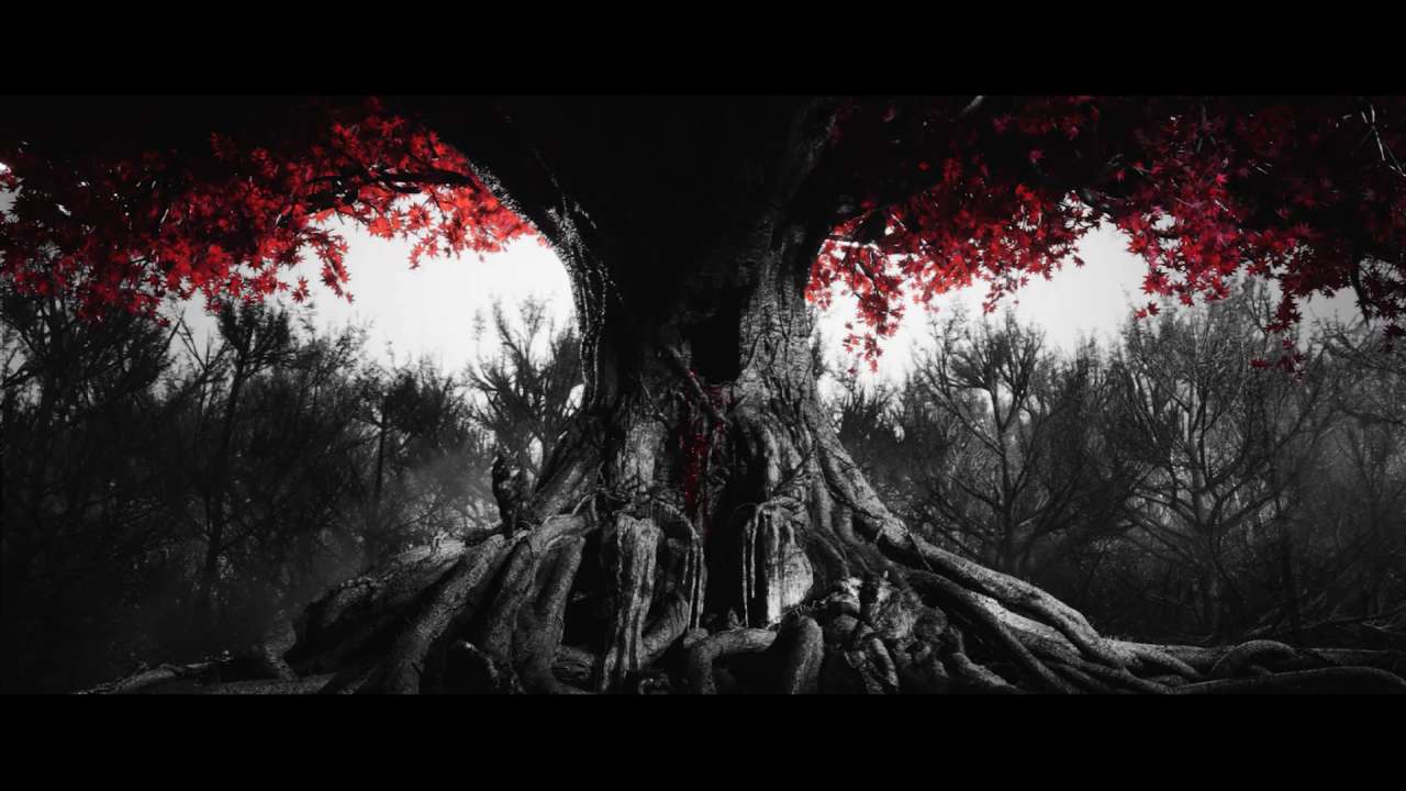 intro