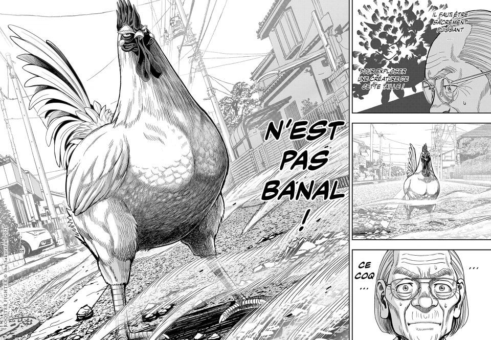rooster fighter