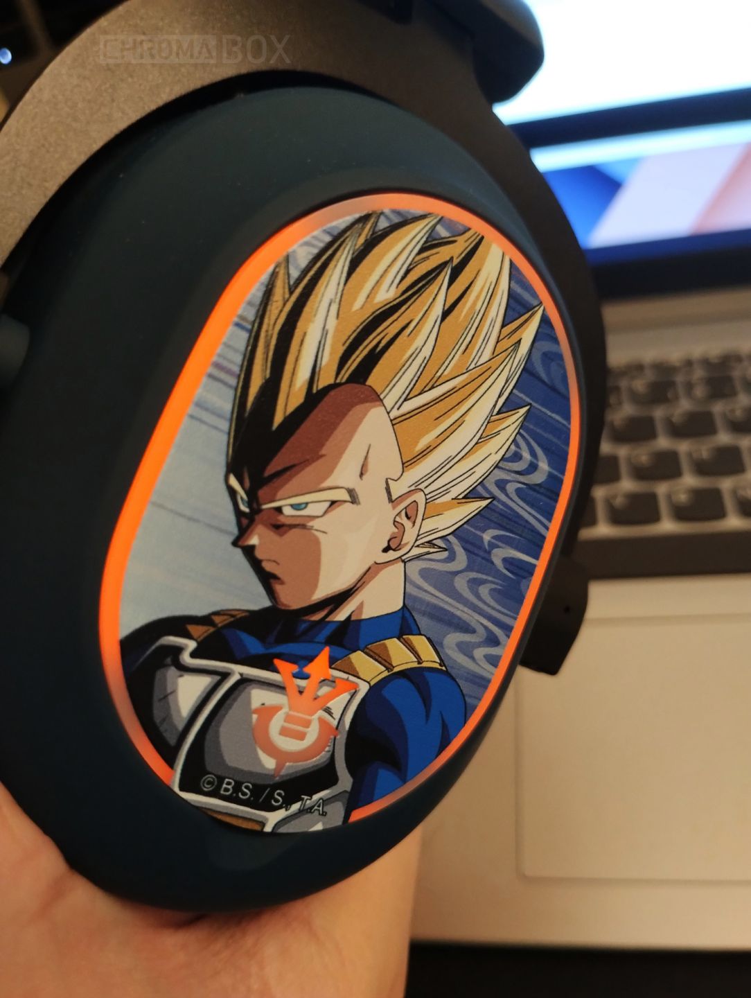 plaque vegeta