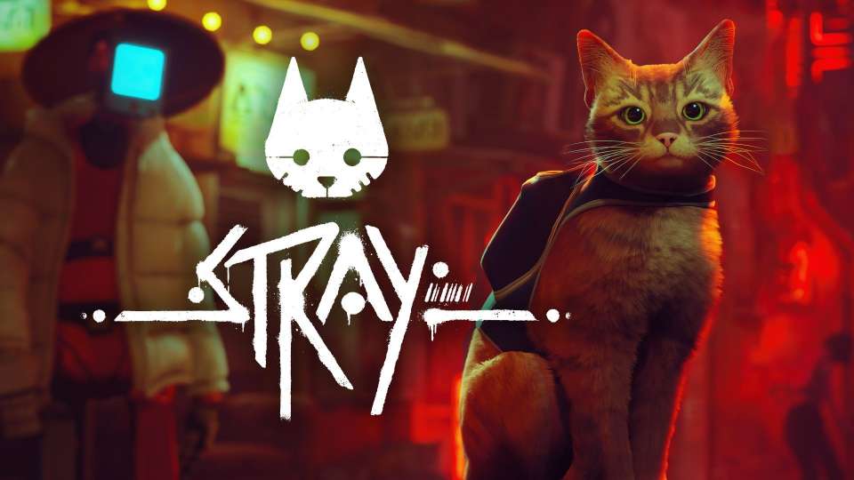 Stray en édition physique PS4 le 8 novembre 2022