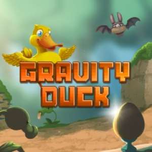 Image du jeu Gravity Duck